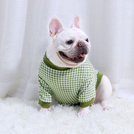 Dog / Cat T-Shirt Sewing Pattern  Digital PDF Sizes S–XL  Beginner Friendly DIY Pet Clothing  Printable Sewing File A4 Letter A0